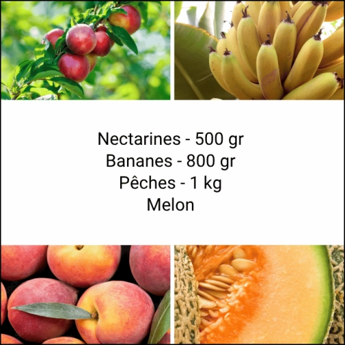 Panier tout Fruits