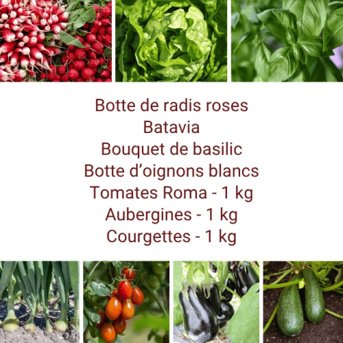 Panier MIDI Tout Légumes