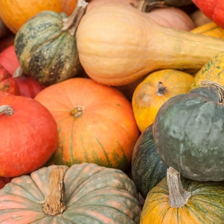 Eplucher les courges : nos meilleurs conseils