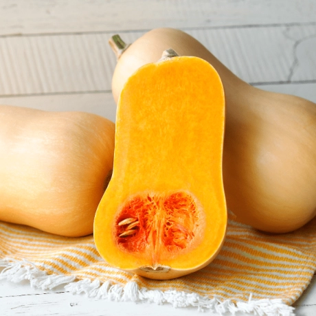 Tout savoir sur la courge butternut (doubeurre)