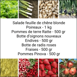 Panier MAXI Fruits & Légumes