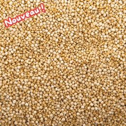 Quinoa blond BIO