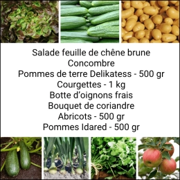 Panier MIDI Fruits & Légumes