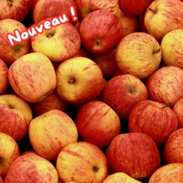 Pommes Gala