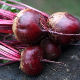 Cagette de betteraves rouges crues