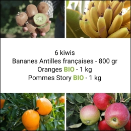 Panier Tout Fruits