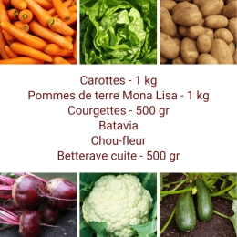Panier MINI Tout Légumes