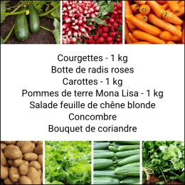 Panier MIDI Tout Légumes