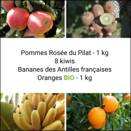 Panier Tout Fruits