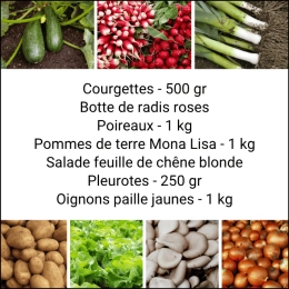 Panier MIDI Tout Légumes