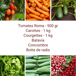 Panier MINI Tout Légumes