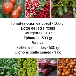 Panier MIDI Tout Légumes