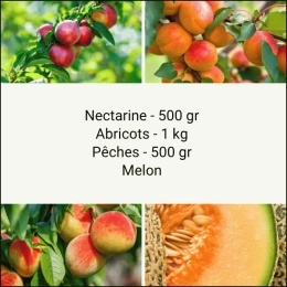 Panier Tout Fruits