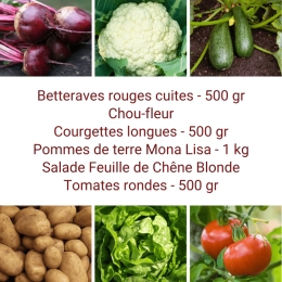 Panier MINI Tout Légumes