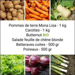 Panier MINI Tout Légumes