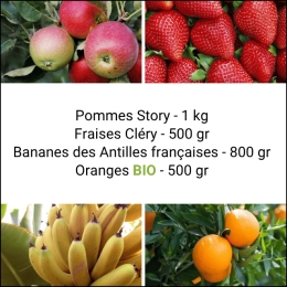 Panier tout Fruits