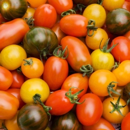 Cagette de tomates cerises méli-mélo
