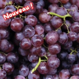 Raisin noir Muscat