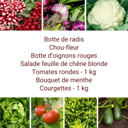 Panier MIDI Tout Légumes