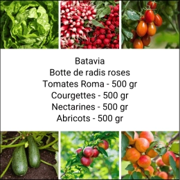 Panier MINI Fruits & Légumes