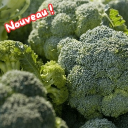 Cagette de brocolis