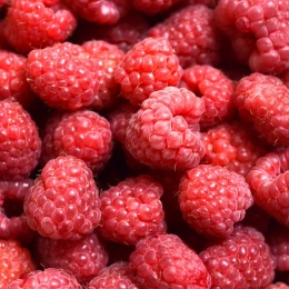 Tout savoir sur : la framboise