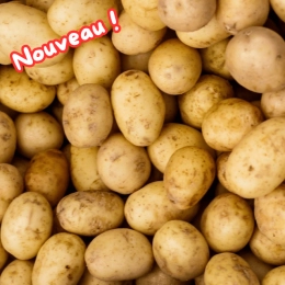 Cagette de pommes de terre BIO