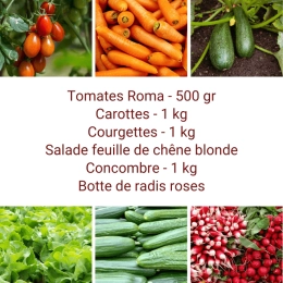 Panier MINI Tout Légumes