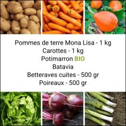 Panier MINI Tout Légumes