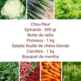 Panier MIDI Tout Légumes