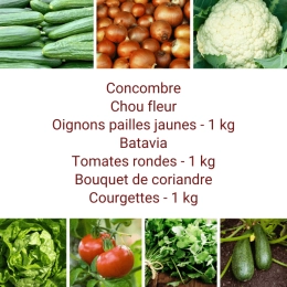 Panier MIDI Tout Légumes