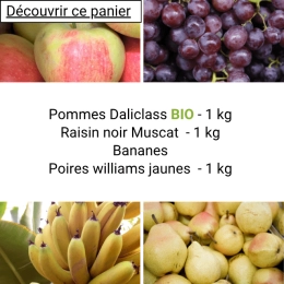 Panier tout Fruits