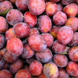 Prunes Délice