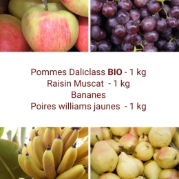 Panier tout Fruits