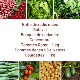 Panier MIDI Tout Légumes