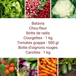 Panier MIDI Tout Légumes