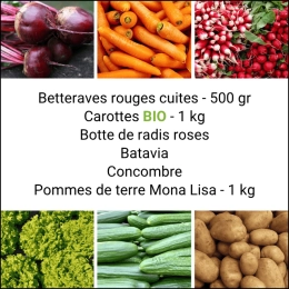 Panier MINI Tout Légumes