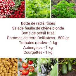 Panier MIDI Tout Légumes