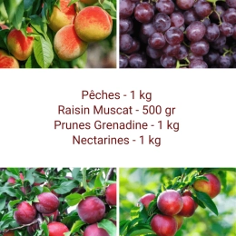 Panier tout Fruits