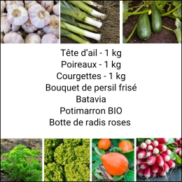 Panier MIDI Tout Légumes