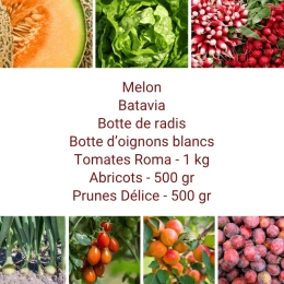 Panier MIDI Fruits & Légumes