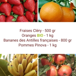 Panier tout Fruits