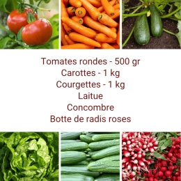 Panier MINI Tout Légumes