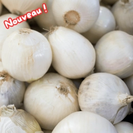 Oignons doux des Cévennes AOP
