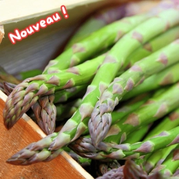 Asperges vertes