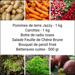 Panier MINI Tout Légumes