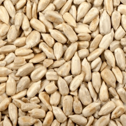 Graines de tournesol BIO