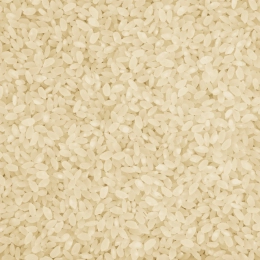 Riz rond de Camargue IGP spécial Paëlla