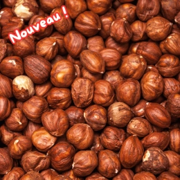 Noisettes décortiquées