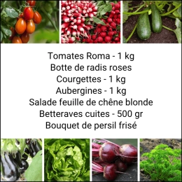 Panier MIDI Tout Légumes